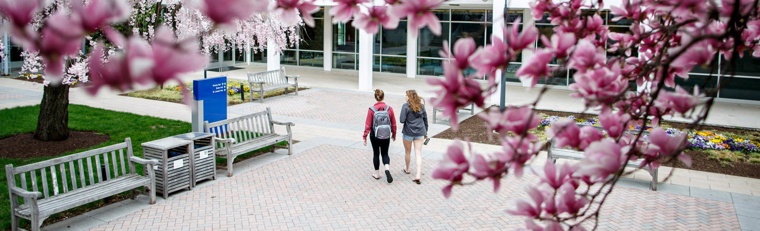 Marymount University Undergraduate Application